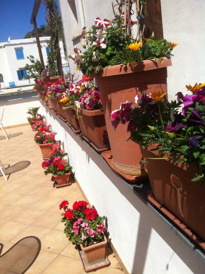 Lacco Ameno  B&B Celestina Ischia المظهر الخارجي الصورة