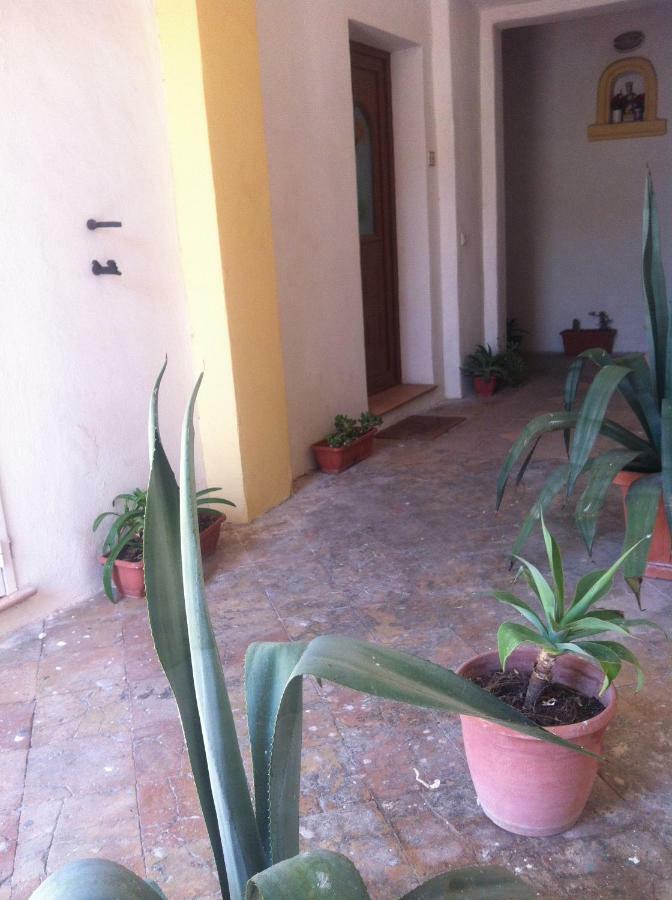 Lacco Ameno  B&B Celestina Ischia المظهر الخارجي الصورة