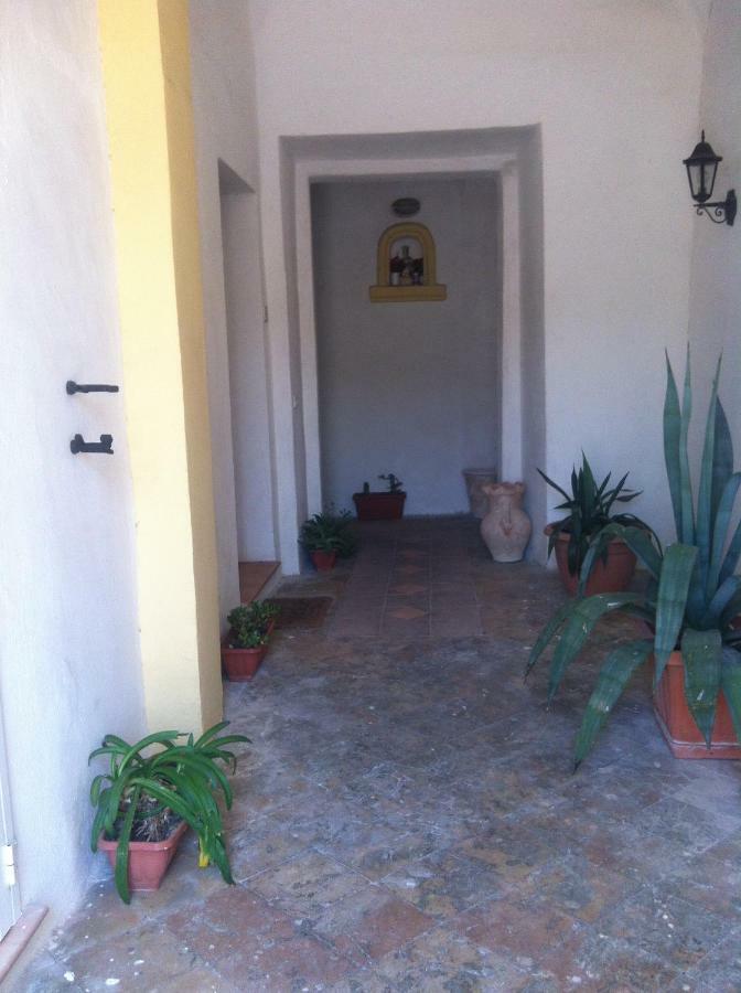 Lacco Ameno  B&B Celestina Ischia المظهر الخارجي الصورة
